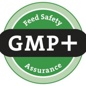 GMP +